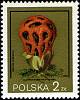 (1980-030) Марка Польша "Решёточник красный"    Грибы III Θ